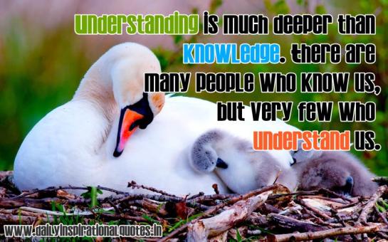understanding-is-much-deeper-than-knowledge-there-are-many-people-who-know-us-but-very-few-who-understand-us-anonymous